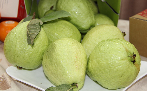 藍委轟芭樂、鳳梨嚴重價跌！農委會反擊：勿炒作干擾市場價格