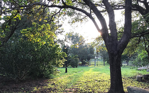 南台灣高溫上看36度！山區注意午後雷雨
