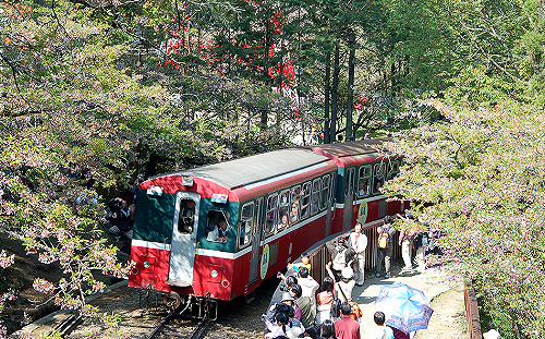 多等3天！阿里山林鐵本線延至9/3復駛