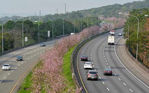 連假出遊注意！國5實施大客車優先通行  搭客運比開車快