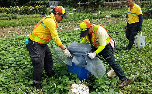 登革熱病例創10年同期最高！孳生病媒蚊最高罰6000元