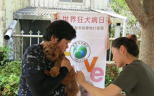 毛孩飼主看過來！北市山區動物狂犬病注射活動13日開跑