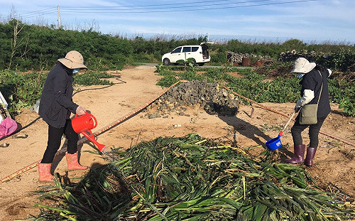 剩三縣市未淪陷！全台秋行軍蟲幼蟲累積39例