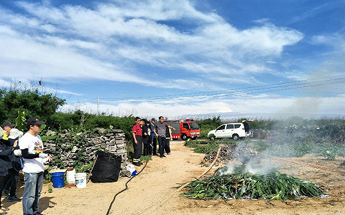 壞消息！17縣市淪陷  秋行軍蟲確定案例達52例