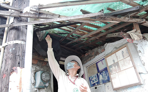 感染風險高！台南市再新增2例本土登革熱