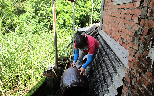 警戒範圍擴大！台南左鎮增1例本土型登革熱