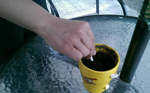 警訊！青少年吸煙率10年來首度上升 電子菸使用率增5成