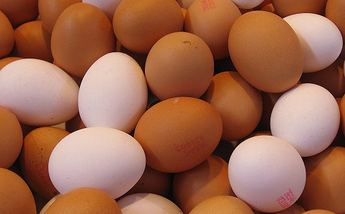 夏天飲食要注意！小心這4種食物中毒細菌找上你