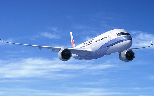 揭密！ 46%上班族想成空服員 原來是為了.............