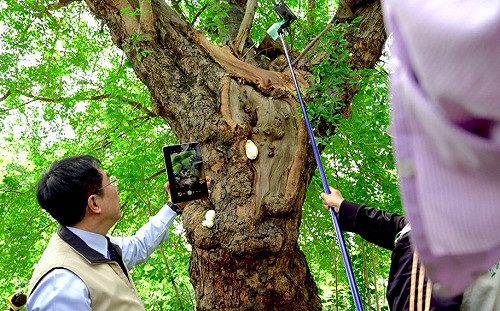 檢查積水不用爬樹！台南市這樣做 網友大讚：好先進