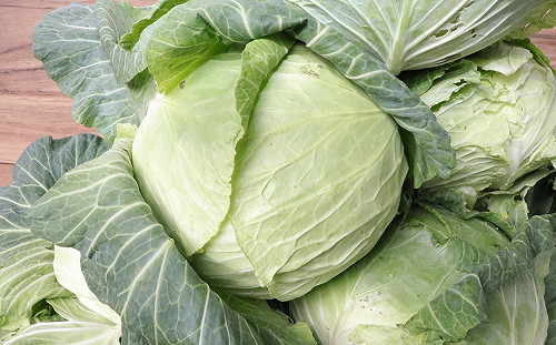 暴雨成災！蔬菜水傷價差大 菜市場高麗菜每顆近百元