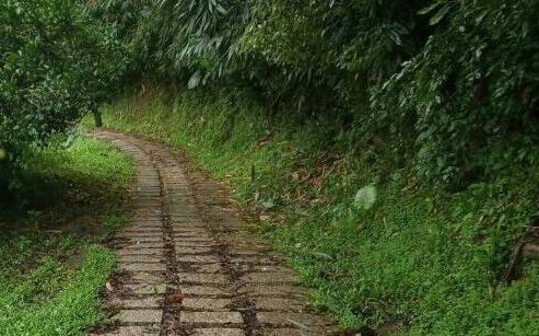 豪雨不斷！台中大坑2登山步道損壞