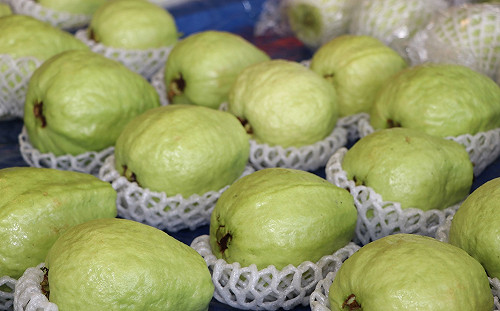 奇異果也甘拜下風！維生素C最豐富的水果竟然是它