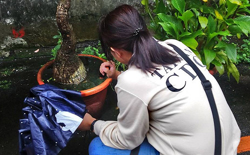 新北中和屈公病再增一例！即日起牛埔山近國強嶺步道列管制區