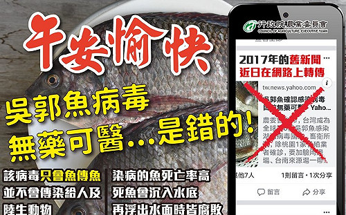 吳郭魚病毒訊息又起！農委會闢謠：無食安問題