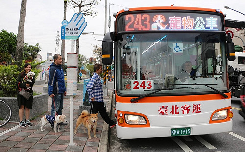 國慶連假帶毛孩趴趴走！假日寵物公車新增7條路線