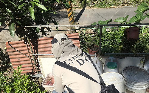 新北樹林再增一例本土登革熱！與首例為同一波感染