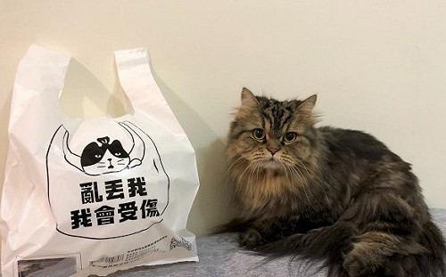 毛孩圖案超可愛！新北第二波環保袋「公益系列」今上市