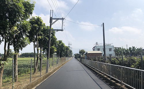 賞花更好行！新社花海周邊4公里道路燙平