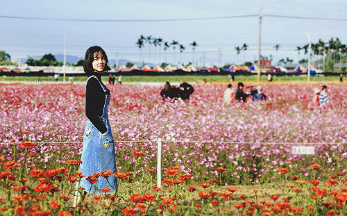 台中花毯節倒數兩天！攝影師親授3招拍美照技巧