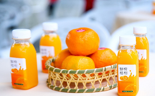 台中椪柑外銷日本！首批20公噸今封櫃啟運