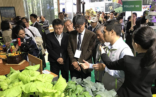 吃鯖魚顧骨頭？農業生技這樣照顧銀髮族