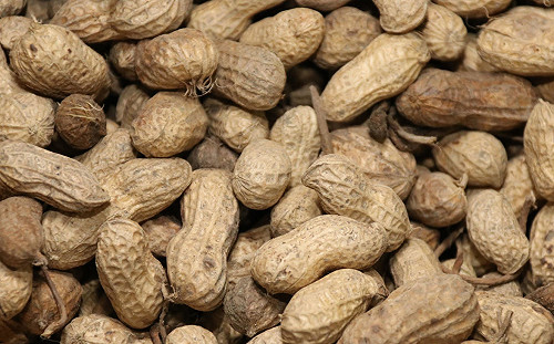 花生之亂延燒！雲林議員號召200農民陳情 農糧署回應了