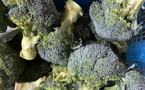 別再搞混啦！花椰菜和青花菜  我們真的不一樣