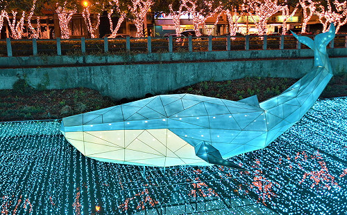 超美！萬年溪變身夜間動物園 屏東綵燈節1/3正式點燈