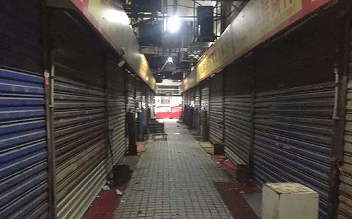 武漢肺炎》疫情起因出爐！研究揣測是蝙蝠傳蛇再傳人