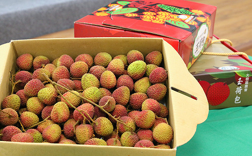 武漢肺炎》連續13天0確診！記者會擺玉荷包盼未來「很多零」