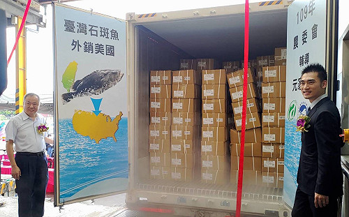 拓展新市場！國產石斑魚前進美國外銷量成長556％