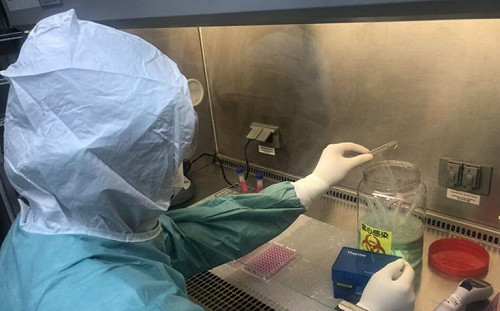 中國多省傳出「新布尼亞病毒」疫情！62人感染7人死亡 我國現首例