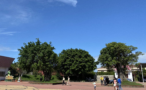 熱到爆！花蓮中午飆38.6度 全台14縣市高溫特報