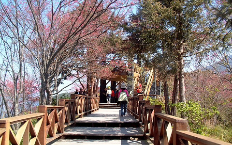 每日上線500人！藤枝國家公園12/31重新入園 門票半價優惠