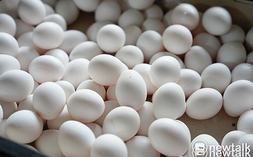 澳洲蛋遭疑中國來的？陳吉仲駁：進口都有產地佐證文件