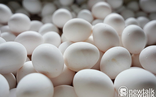 通路雞蛋查核結果曝光！食藥署：3件國產蛋違規 共罰12萬