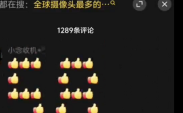 (影) 中國到處都是監視器 小粉紅被洗腦嗨喊「好安全」 網大拇指讚圖貼出「SB」