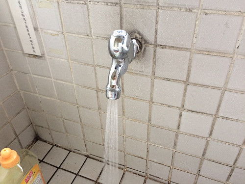 確保安全 全教總籲體檢校園自來水鉛管