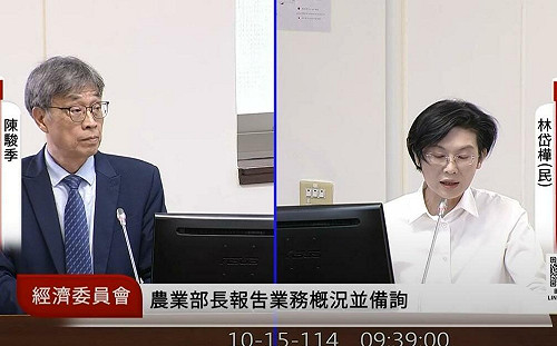豬價飆漲全球第二高   林岱樺示警:國產豬恐喪失競爭力