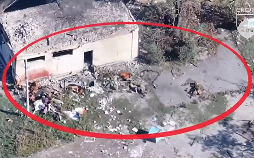 (影)「刺鐵絲網大屠殺」!俄軍在新托列茨克損失慘重 屍體散落防禦工事間