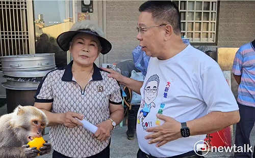 滿山滿谷野猴肆虐農作物遭殃　農民怒喊：欲哭無淚