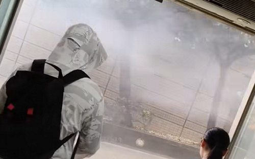 (影)文化大學宣布停課！校內11級陣風「狂風暴雨路樹歪斜」引熱議