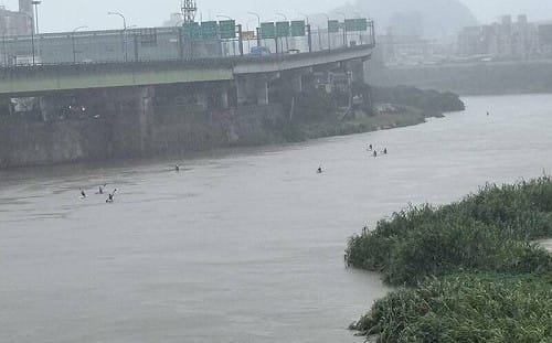 無視豪雨襲台！10位民眾基隆河划SUP 警消急勸離