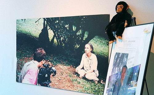 《珍與科博》紀念展開幕!珍古德博士與科博館三十年情緣再現