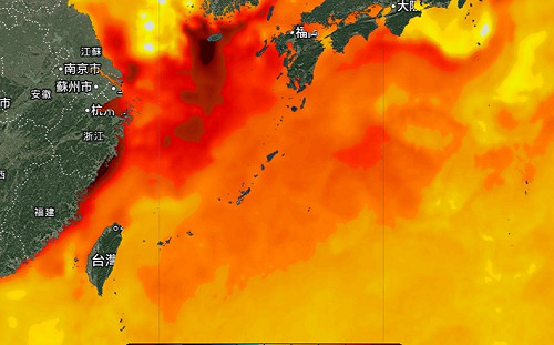 全球暖化影響！海溫下降仍高溫平均  鄭明典：東北季風定義被迫修改