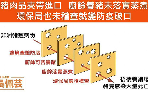 非洲豬瘟入侵台中  吳佩芸:環保局讓病毒穿越起司關卡