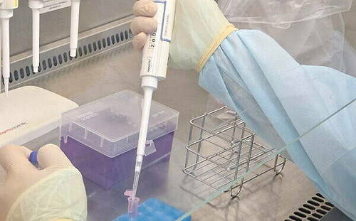 嘉義大學成守護雲嘉南豬隻安全第一線!日驗千件檢體上報農業部