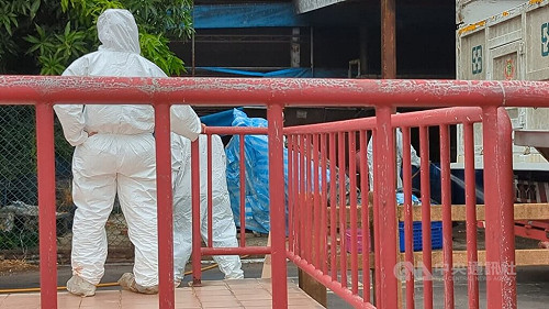 非洲豬瘟案王姓獸醫佐回國 中檢訊後證人身分請回