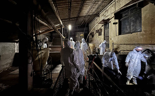 化學兵進場前又發現3處陽性反應！台中市府2次清消無用功